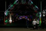 Gallery: 2014 PJ 5K & 1-Mile Walk through Glittering Lights