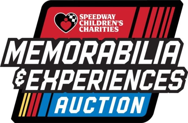 Online Experiences Auction Logo