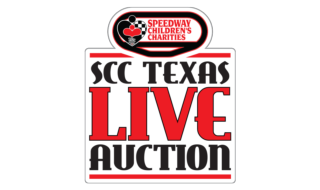Live Auction Logo