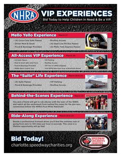 NHRA Online Auction Experiences