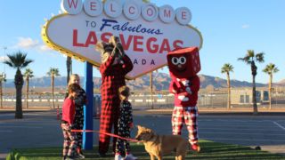 Gallery: SCC Las Vegas 2022 PJ 5K