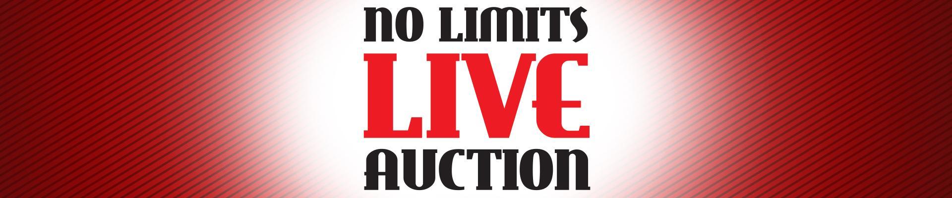 No Limits Live Auction Header