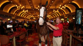 Gallery: SCC Las Vegas 2023 Brendan Gaughan Celebrity Blackjack Tournament