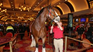 Gallery: SCC Las Vegas 2023 Brendan Gaughan Celebrity Blackjack Tournament