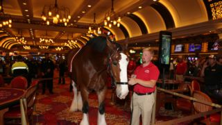 Gallery: SCC Las Vegas 2023 Brendan Gaughan Celebrity Blackjack Tournament