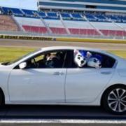 Gallery: SCC Las Vegas 2019 Laps for Charity