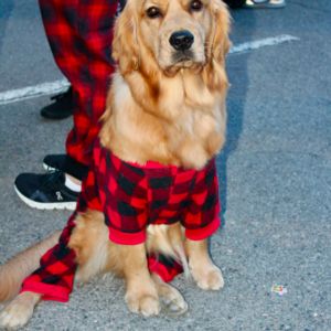 Gallery: SCC Las Vegas 2025 PJ5K Run & 1-Mile Walk