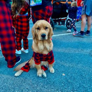 Gallery: SCC Las Vegas 2025 PJ5K Run & 1-Mile Walk