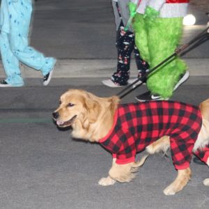 Gallery: SCC Las Vegas 2025 PJ5K Run & 1-Mile Walk