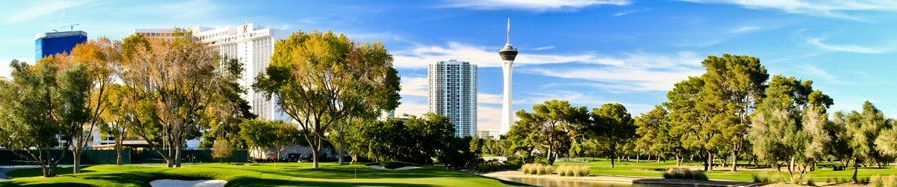 SCC Las Vegas Header