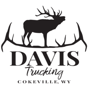 Davis Trucking LLC logo