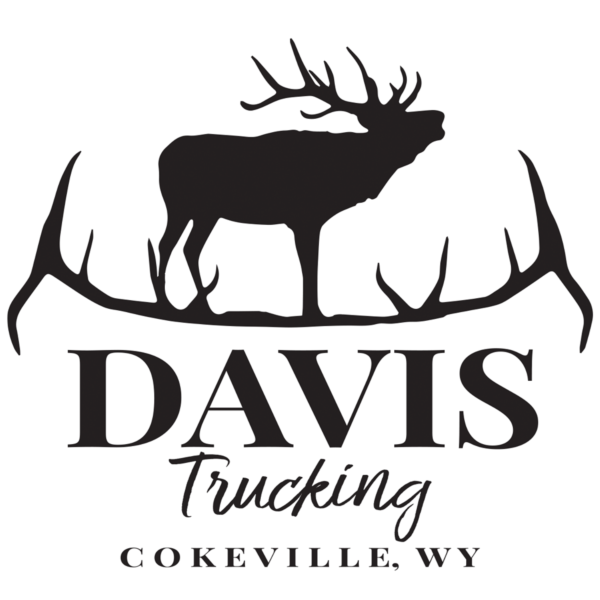 Davis Trucking LLC logo