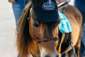 Gallery: SCC Nashville 2026 Track Laps Under the Lights Presented by Wilson Bank and Trust