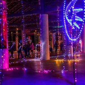 Gallery: SCC Las Vegas 2025 PJ5K Run & 1-Mile Walk