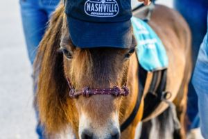 Gallery: SCC Nashville 2026 Track Laps Under the Lights Presented by Wilson Bank and Trust